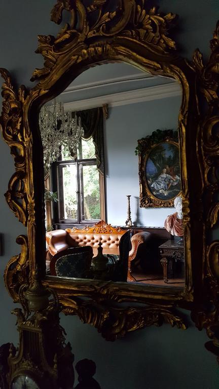 Romantic Chateau Krasna Lipa Exterior foto