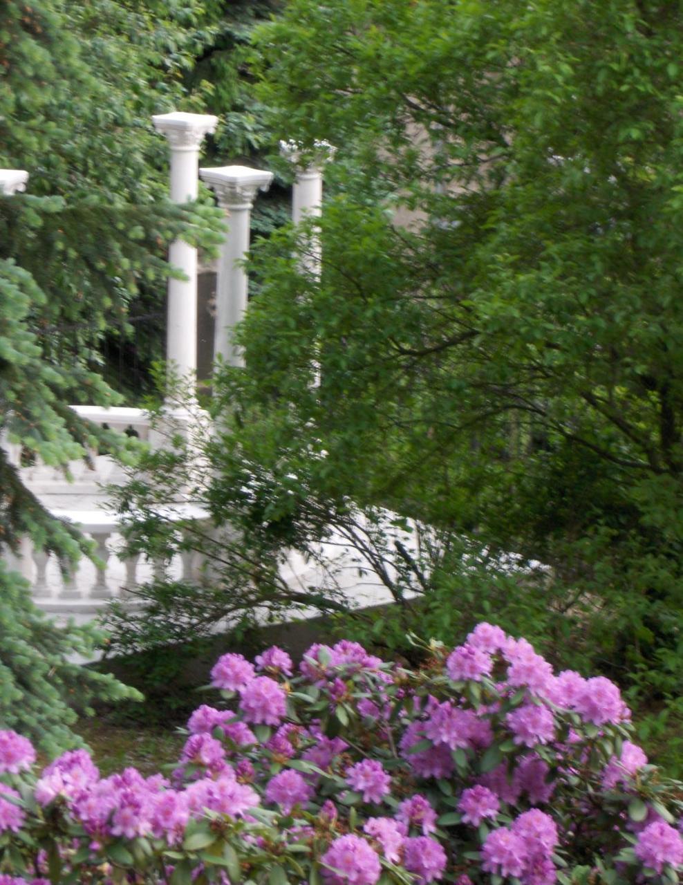 Romantic Chateau Krasna Lipa Exterior foto