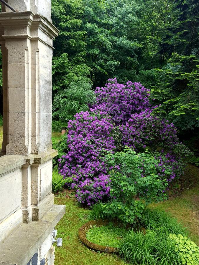 Romantic Chateau Krasna Lipa Exterior foto